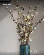 فازة مورانو