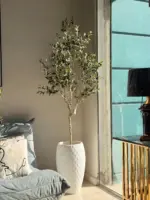 شجر